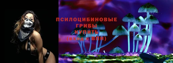 прущая мука Арсеньев