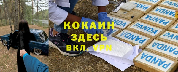 прущая мука Арсеньев